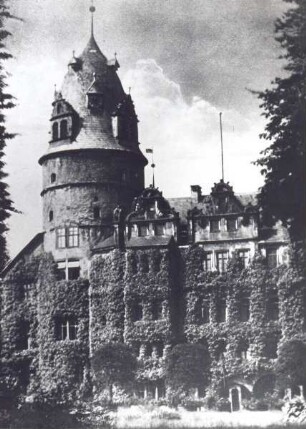 Blick auf das Schloss. Detmold. Schloßplatz. Papierabzug