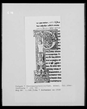 Bibel: fol. 104 verso: Initiale "P"