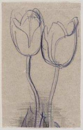 Zwei Tulpen