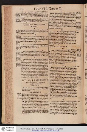 Liber VIII. Titulus XI.