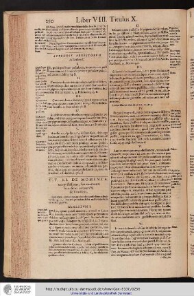 Liber VIII. Titulus XI.