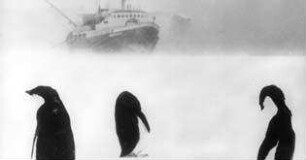 Antarctica-Project