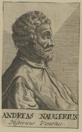 Bildnis des Andreas Naugerius