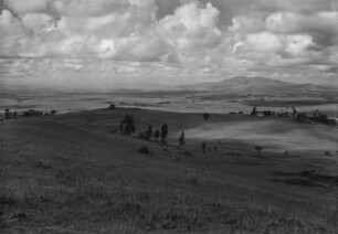 Höhenlandschaftspanorama bei Addis Abeba : Hochland mit Einzelbaumvegetation bei Addis Abeba.