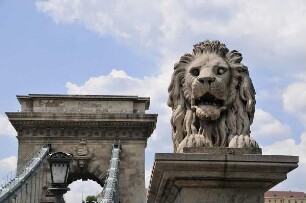 Budapest - Löwenkopf neben der Kettenbrücke : Ein überdimensionaler steinerner Löwenkopf steht neben der Kettenbrücke.. Aufgenommen in der City von Budapest am 13. Juni 2011