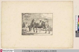 [Grasende Kuh, im Hintergrund eine liegende Kuh an einem Baum; The Grazing Cow]