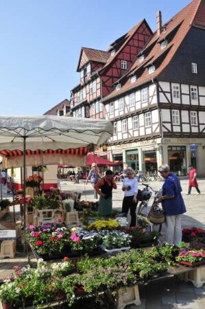Quedlinburg - Blumenmarkt : Blumenmarkt, aufgenommen in Quedlinburg am 26. April 2014. Foto Uwe Gerig
