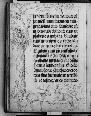 Gebetbuch Kaiser Maximilians I. — Kranichnest in einem Baum; unten springende Hirsche, Folio 63verso