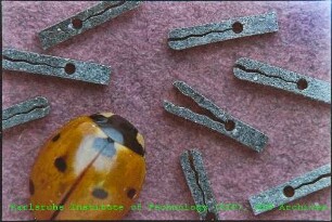 Detailaufnahme von Krokodilklemmen des Instituts für Materialforschung (IMF)