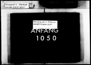 Herstellung und Vertrieb bakterienhaltiger Mittel zur Vertilgung tierischer Schädlinge, Verordnung vom 28.5.1929