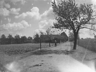 Landschaft : Unbekannter Ort. Bäuerin auf einem Feldweg