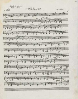Violino II