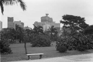 In Sao Paulo : Stadtpark mit Blick auf Hochhäuser