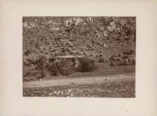 Überweidete Fläche : Westliche Vorberge der Bergkette Binboga Daglari auf 1800 - 1900 Meter Höhe mit Schafherden. Strauch- und Baumarmut durch Überweidung.