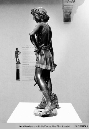 David