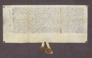 Gültbrief von Einwohnern, der Stadt Ladenburg und der Dörfer Schriesheim, Lützelsachsen, Heddesheim, Käfertal, Neckarhausen und Ilvesheim gegenüber der St. Sebastians-Kirche in Ladenburg.