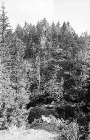 Wilfingen