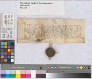 Graf Adolf zu Gleichen und Herr zu Tonna setzt seiner Schwester Griethen von Gleichen für den Fall, dass sie sich nicht verheiratet, eine jährliche Rente von 40 Rhfl. aus der Herrschaft Tonna aus.