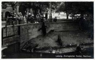 Leipzig, Zoologischer Garten, Seelöwen