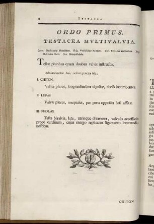 Ordo Primus. Testacea Multivalvia.