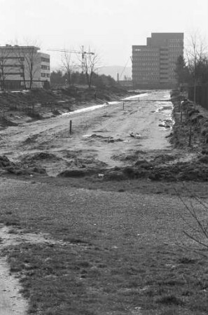 Bau einer neuen Straßenbahnlinie Nr. 6 über das Beiertheimer Feld nach Oberreut