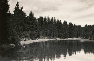Erzgebirge. Wüster Teich bei Rehefeld (800 m)