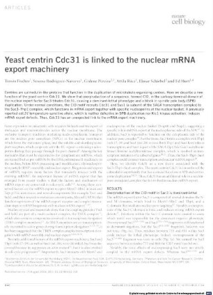 Yeast centrin Cdc31 is linked to the nuclear mRNA export machinery