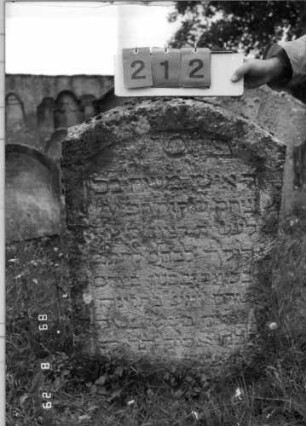Grabstein 212 (Index: 100107535) Material: Kalkstein Zustand: stark verwittert, teilweise Textverlust Maße HxBxT: 96x59x15 cm Beschreibung: Stele mit Segmentbogenabschluß, Schriftfeld eingetieft: Grabstein 212