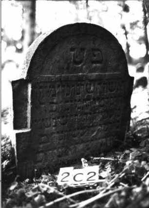 Grabstein 202 (Index: 99803270) Material: Sandstein Zustand: eingesunk/Textverl/seitl. zerstört Maße HxBxT: 63x60x12 cm Beschreibung: Stele mit eingezogenem Rundbogen und profiliertem Rand, Giebelfeld: Grabstein 202