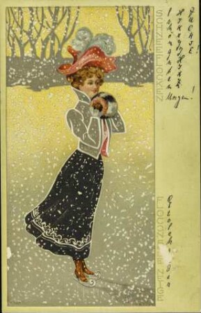 Schneeflocken - Flocons De Neige