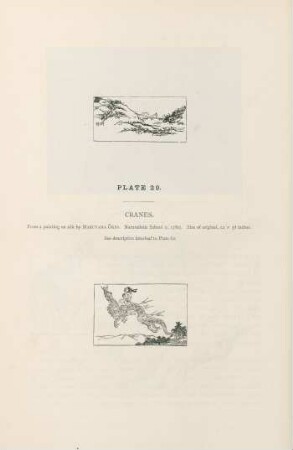 Plate 29. Cranes