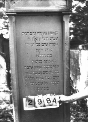 Grabstein 298 (Index: 99609935) Material: Sandstein Zustand: verwittert, angeschlagen Maße HxBxT: 213x69x27 cm Beschreibung: Stele, Giebel mit Verdachung, Seitenakrotere, Schriftfeld rechteckig eingetieft, von Halbpfeilern begrenzt, getreppter Sockel Symbolik: forale Seitenakrotere: Grabstein 298A