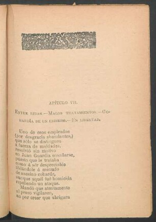Capítulo VII : Entre rejas.- Malos tratamientos.- Cobardía de un esbirro.- En libertad.