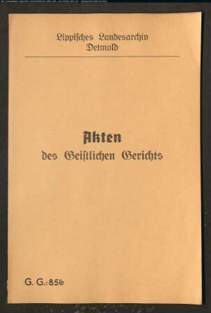 Johann Berend Hillbrink in der Osterheide (Vogtei Oerlinghausen) gegen Anna Ilsabein Steinhagen im Brocke (Vogtei Lage), wegen einer Eheklage