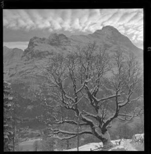 Eiger-Nordwand