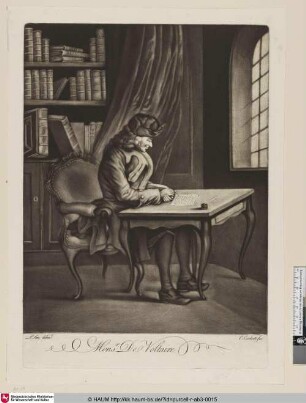Monsieur De Voltaire