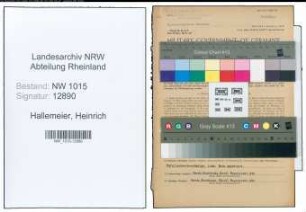 Entnazifizierung Heinrich Hallemeier , geb. 07.02.1901 (Bueroangestellter)