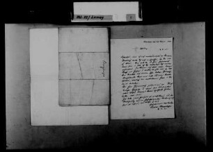 Schreiben von Ludwig Benzinger, Mannheim, an August Lamey: Bitte um Hilfe.
