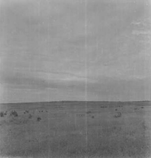Graslandschaft : Blick über Kultur- und Weidelandschaft