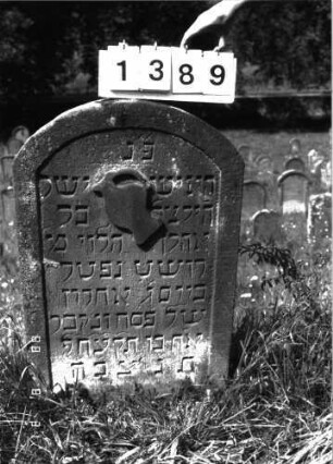 Grabstein 1389 (Index: 100098195) Maße HxBxT: 93x60x11 cm Symbolik: Levitenkanne: Grabstein 1389
