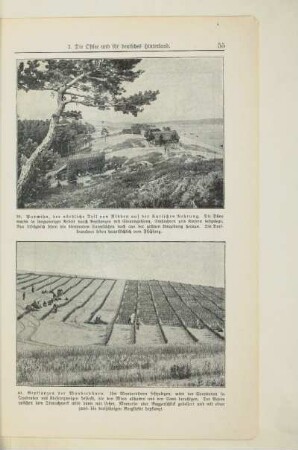 Bepflanzung der Wanderdünen