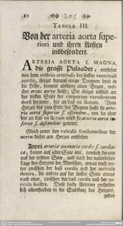 Tabula III. Von der arteria aorta superiori und ihren Aesten insbesondere