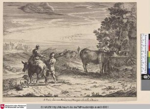 [Eine Kuh aus einem Trog trinkend; Cow drinking from a trough]