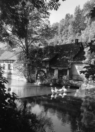 Ehemalige Klostermühle