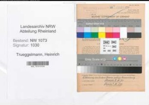 Entnazifizierung Heinrich Trueggelmann , geb. 20.11.1899 (Vretreter)