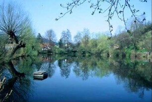 "Alter Teich" im Frühling