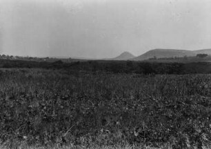 Graslandschaft : Grasland im Vordergrund, im Hintergrund Galeriewald und Landstufen.
