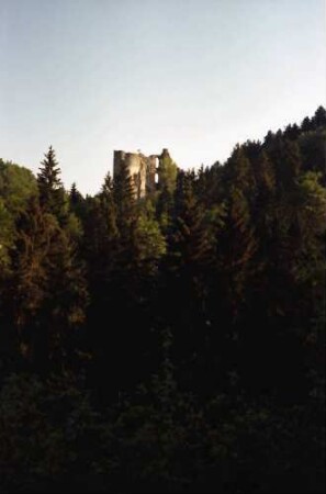 Herrenzimmern: Burg Herrenzimmern, seitlich von der Straße