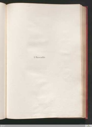 Illustration & Text