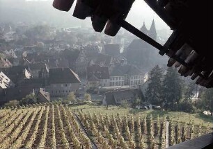 Esslingen: Blick von der Treppe zur Burg über Weinberge auf St. Dionys
